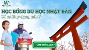 Học bổng du học Nhật Bản có những dạng nào?